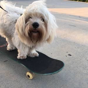 Meet your Posher, Jocelyne